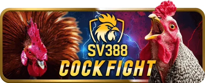 Cá cược quần vợt Grand Slam tại CE88